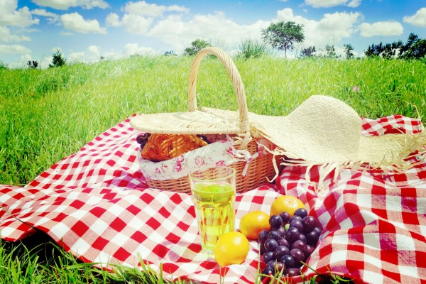 picnic-in-the-park