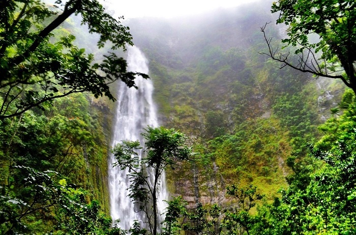 Waimoku Falls, one of the most beautiful maui waterfalls