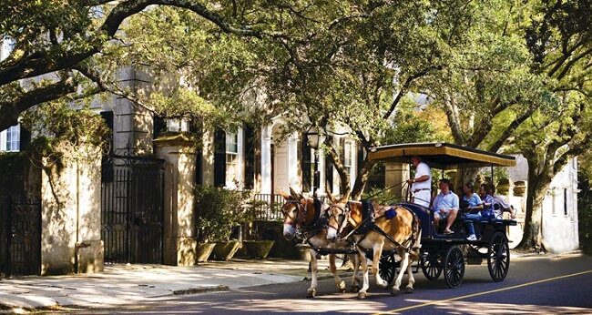 Charleston Carriage Tours