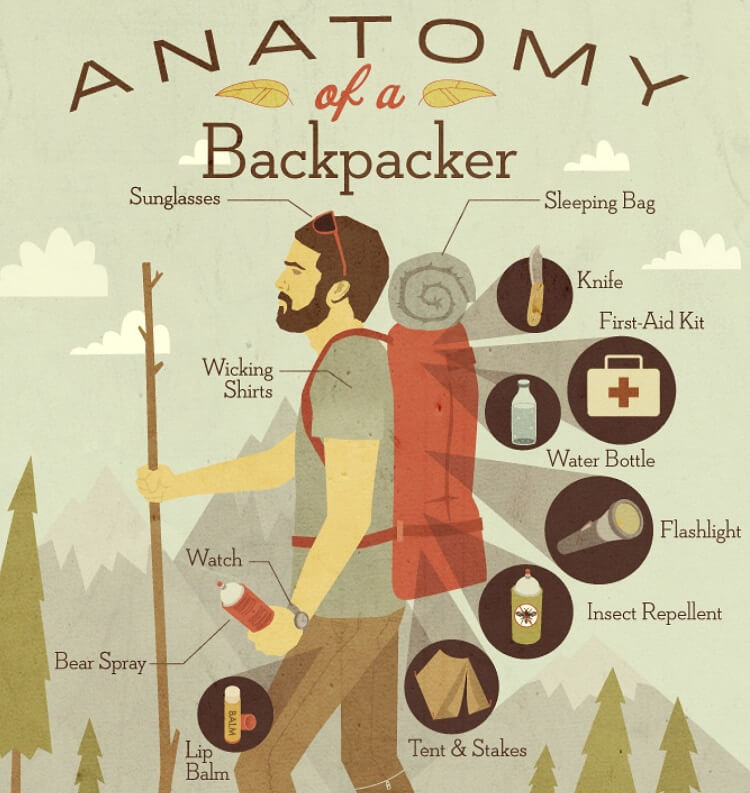 anatomy of a backpacker infographic