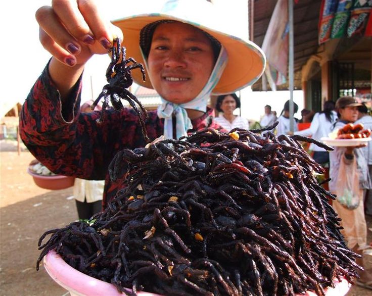 eating tarantulas, of the crazy things to do in Cambodia