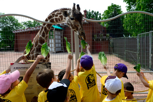 Denver Zoo
