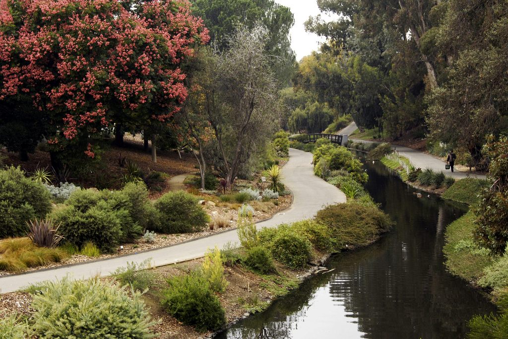 UC Davis arboretum and public garden